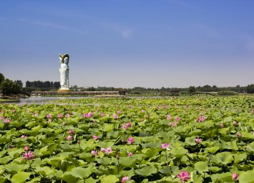 白洋淀旅游