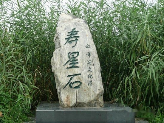 你还不知道的白洋淀