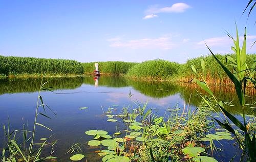 白洋淀的旅游资源